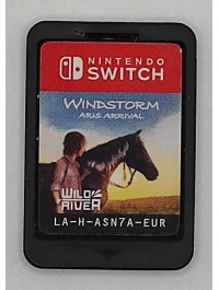 Windstorm Nintendo Switch second-hand